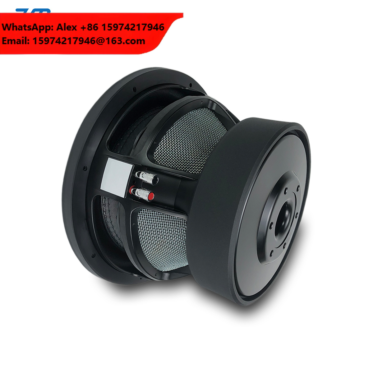 Subwoofer per Auto da 12 Polli - Car Subwoofer 12 Inch 1500W recensione e prezzo