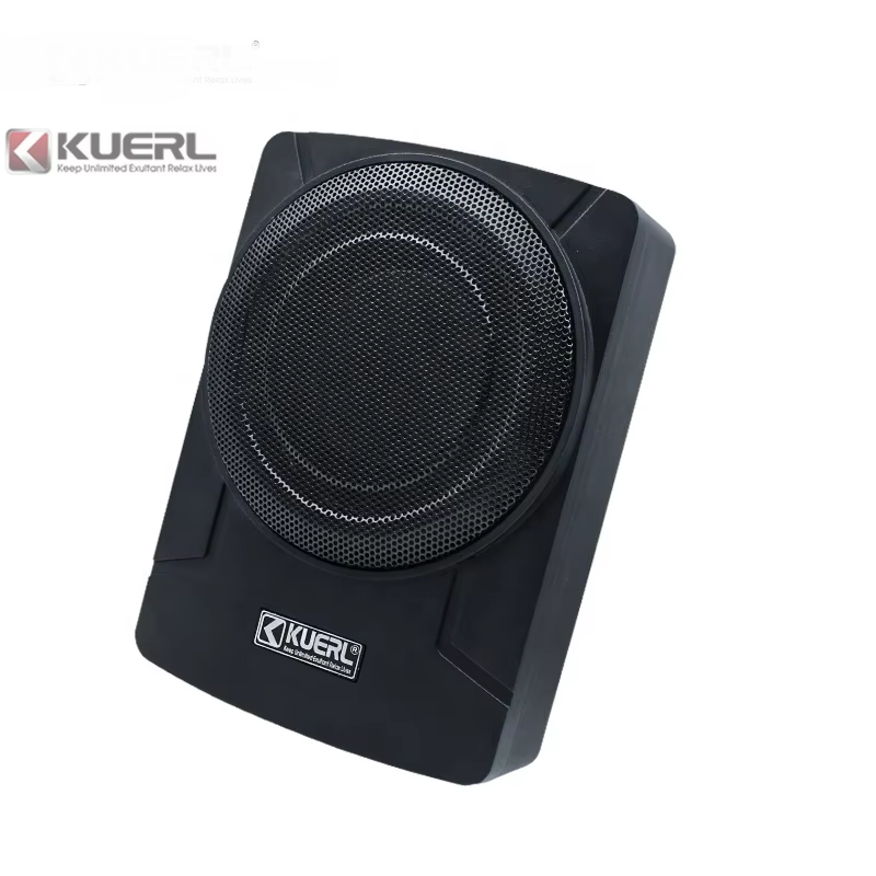 Nuovo design all'ingrosso 8 po - Under Seat Subwoofer Slim 8 Inch recensione e prezzo