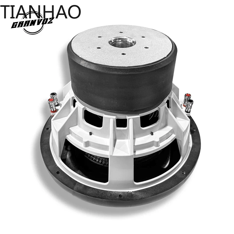 Subwoofer per auto da 12 polli - Car Subwoofer 12 Inch 1500W recensione e prezzo