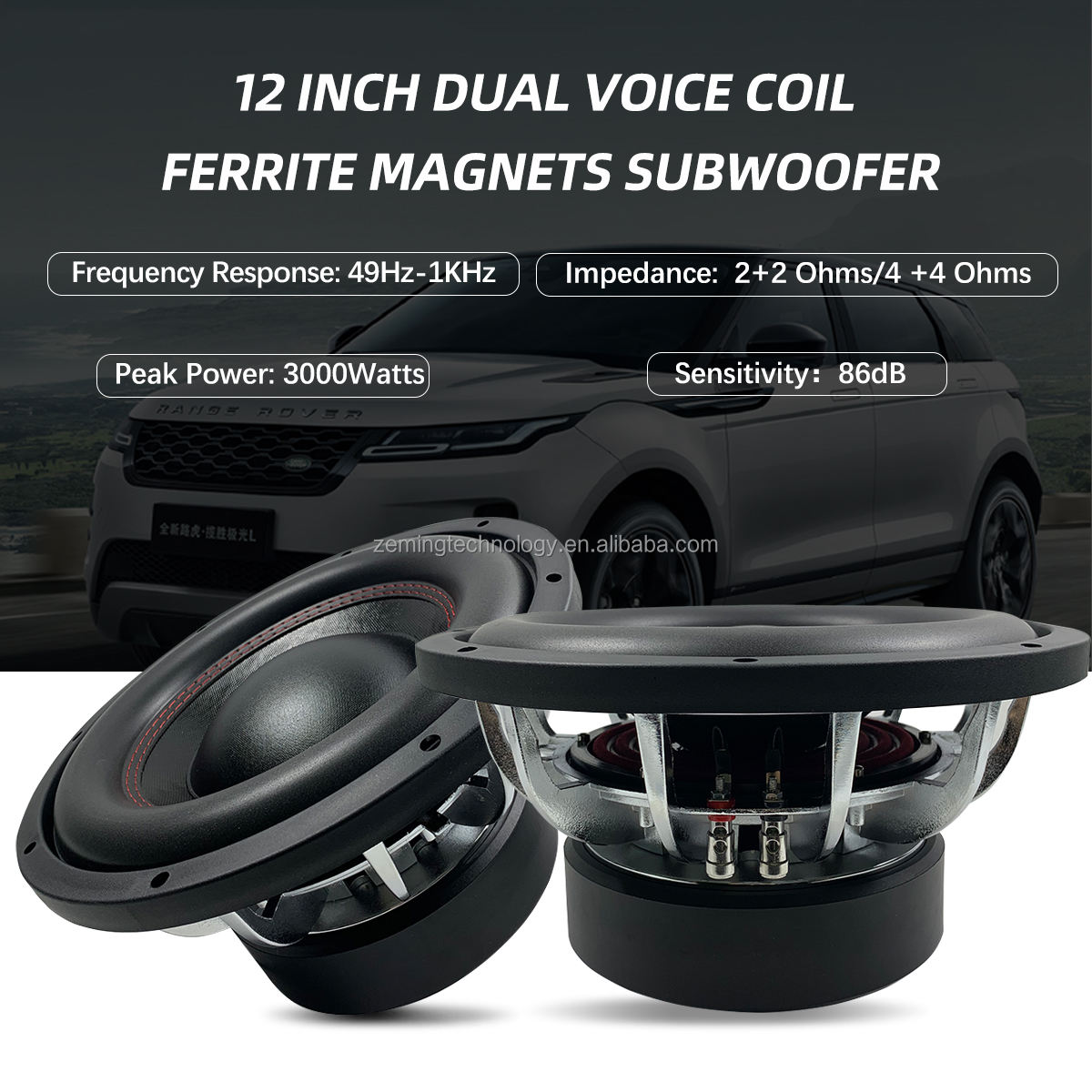 Subwoofer per Auto da 12 Polli - Car Subwoofer 12 Inch 1500W recensione e prezzo