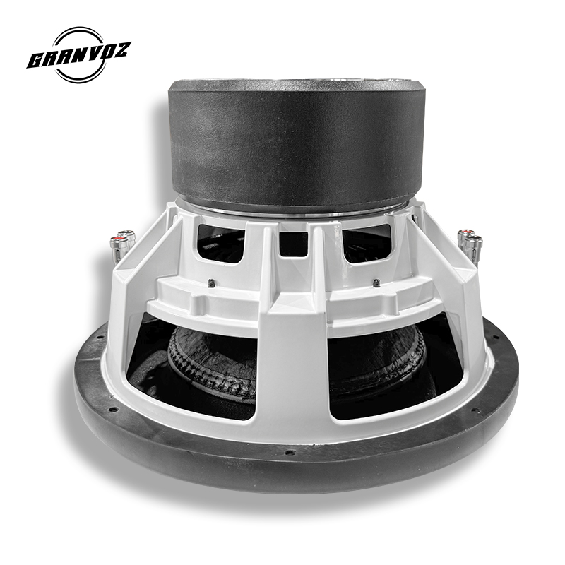 Subwoofer per auto doppio 2OHM - Car Subwoofer 12 Inch 1500W recensione e prezzo