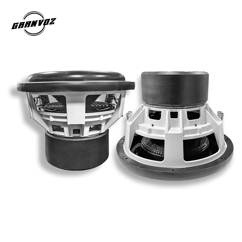 Subwoofer per auto doppio 2OHM - Car Subwoofer 12 Inch 1500W recensione e prezzo
