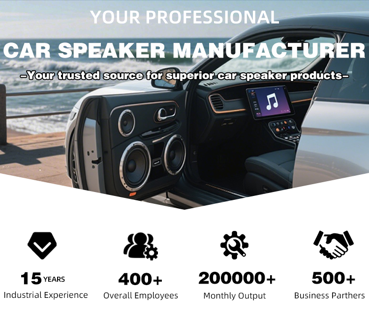 Subwoofer per auto da 12 polli - Car Subwoofer 12 Inch 1500W recensione e prezzo