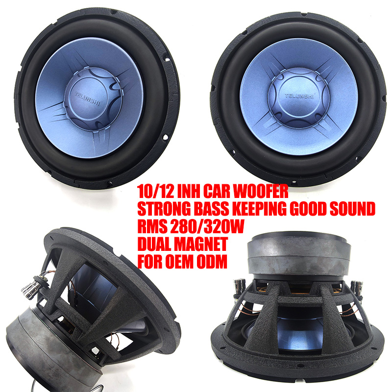 Subwoofer per Auto di Alta Qua - Car Audio Subwoofer 10 Inch Dvc recensione e prezzo