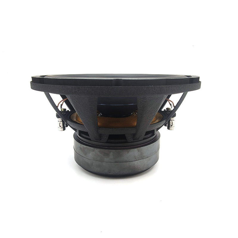 Subwoofer per Auto di Alta Qua - Car Audio Subwoofer 10 Inch Dvc recensione e prezzo